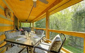 North Carolina Cabin - Hot Tub, Near Coopers Creek